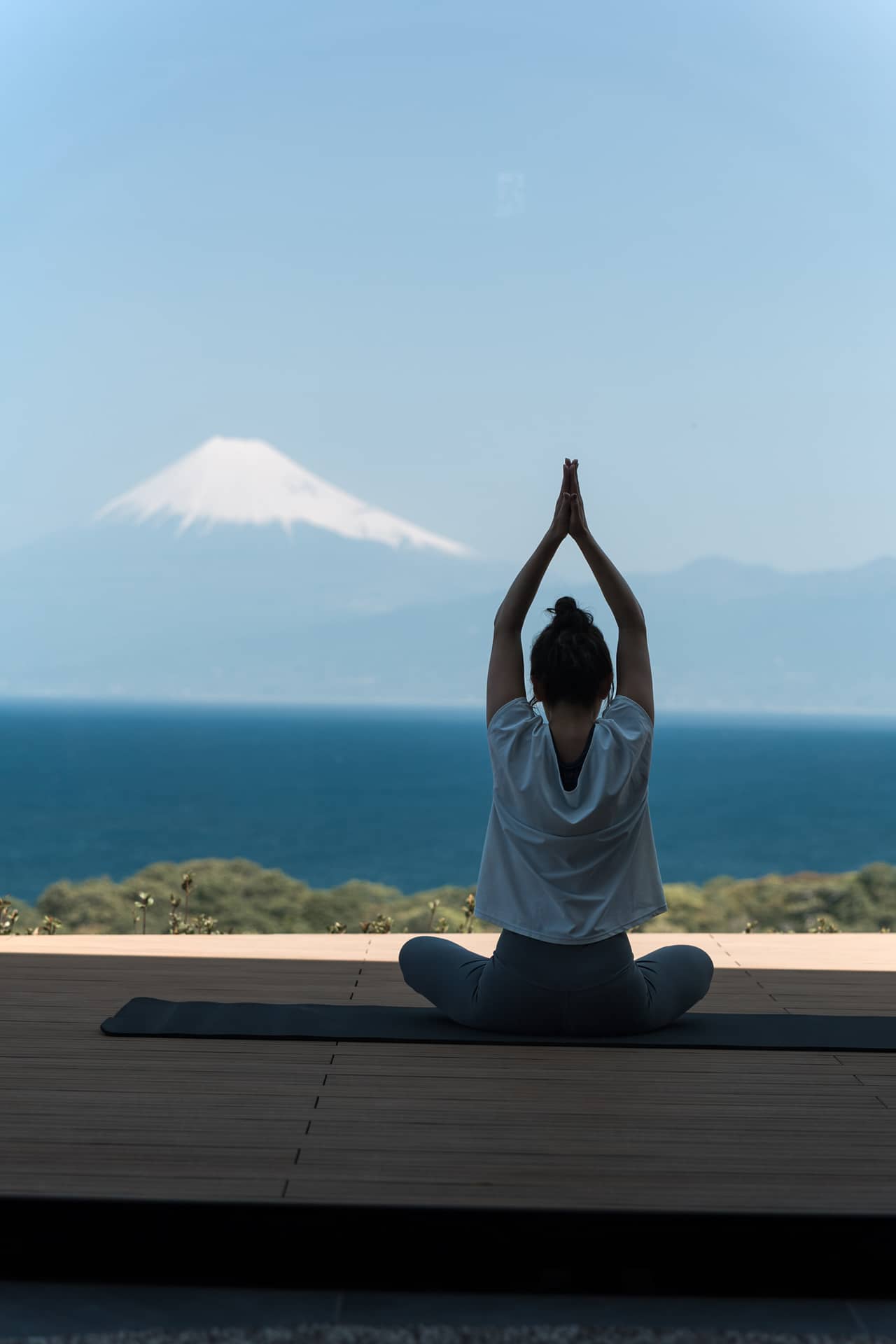 富士青藍イメージ画像